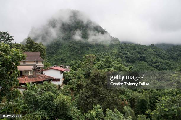 The jungle covers Doi Pha Mee, a mountain range north of the Tham Luang cave. Twelve boys, members of the football team Wild Boars, aged 11 to 17 and...