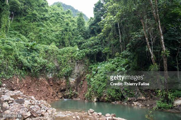Thick jungle covers the Doi Nang Non over the Tham Luang cave. Twelve boys, members of the football team Wild Boars, aged 11 to 17 and their...