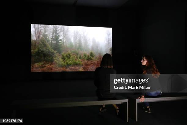 Artist Charlotte Prodger presents BRIDGIT during the Turner Prize 2018 Photocall held at Tate Britian on September 24, 2018 in London, England. An...