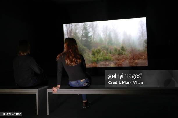 Artist Charlotte Prodger presents BRIDGIT during the Turner Prize 2018 Photocall held at Tate Britian on September 24, 2018 in London, England. An...
