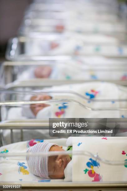 row of newborn babies in hospital nursery - sólo bebés fotografías e imágenes de stock