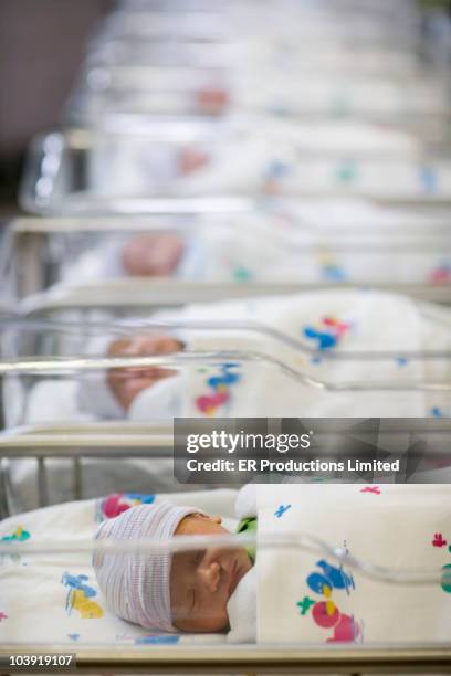 row of newborn babies in hospital nursery - hospital cot stock pictures, royalty-free photos & images