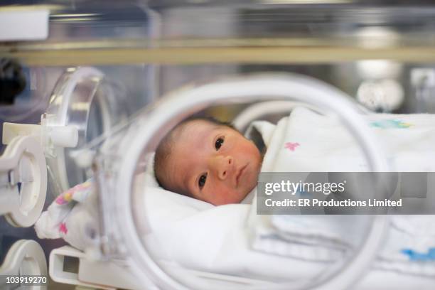 hispanic baby in intensive care unit - premature baby incubator stock-fotos und bilder