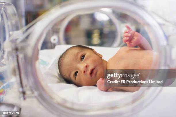 hispanic baby in intensive care unit - premature baby incubator stock-fotos und bilder