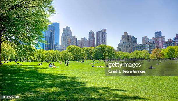 great lawn in central park - central park stock-fotos und bilder