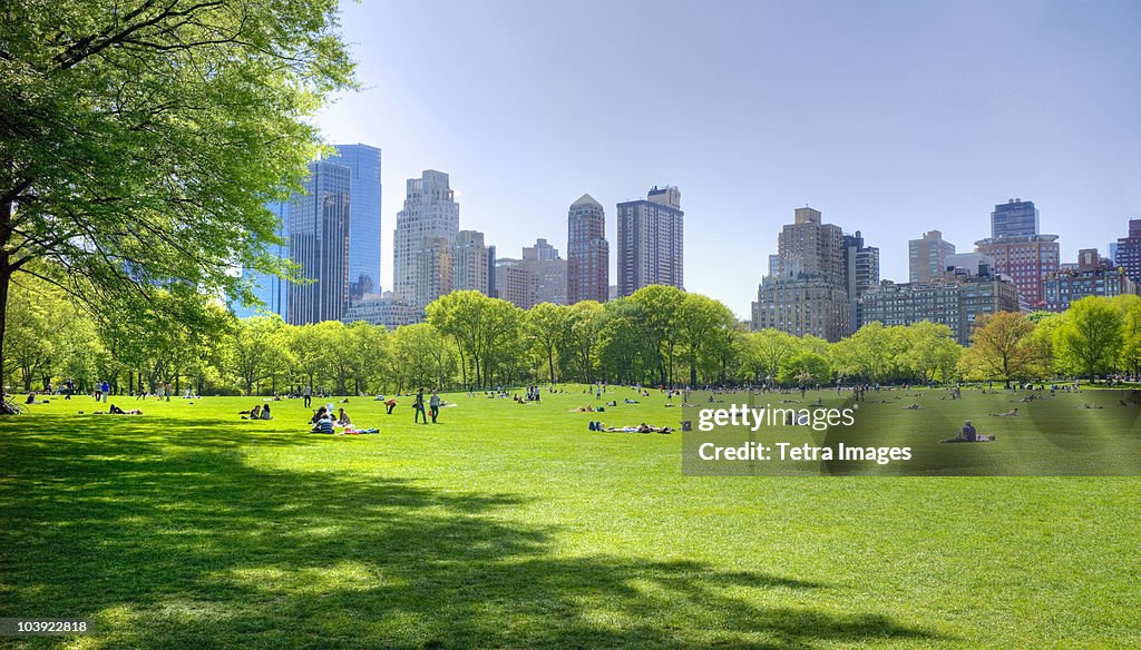 Great lawn in Central Park