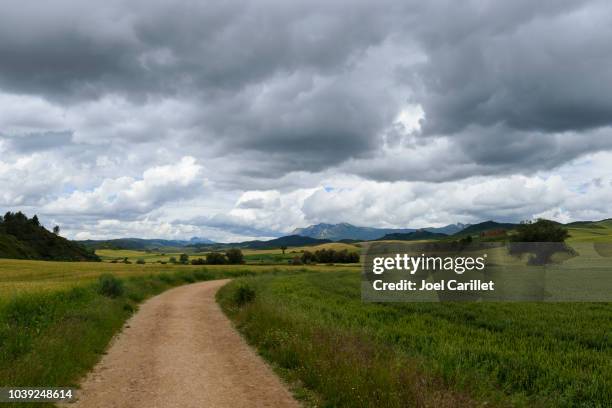 camino de santiago near los arcos, navarre, spain - navarra stock pictures, royalty-free photos & images