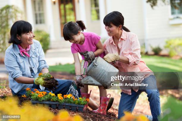 family watering garden - vietnamese ethnicity foto e immagini stock