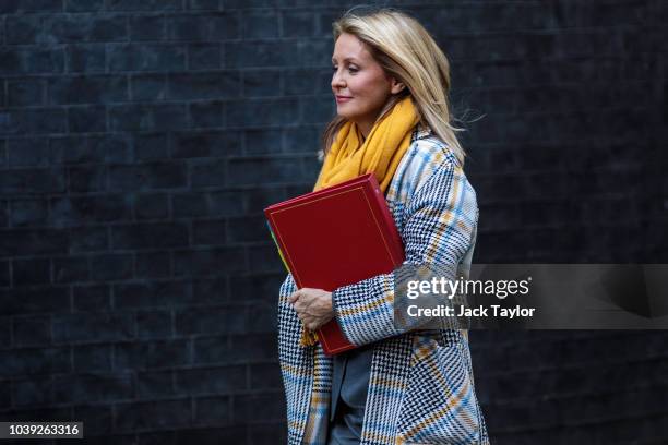 Work and Pensions Secretary Esther McVey arrives for a Brexit cabinet meeting on immigration policy at Downing Street on September 24, 2018 in...