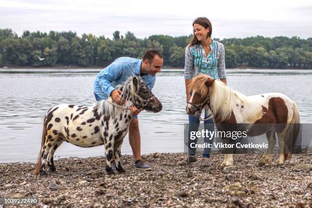 excited couple with pony by river - minute dating stock pictures, royalty-free photos & images