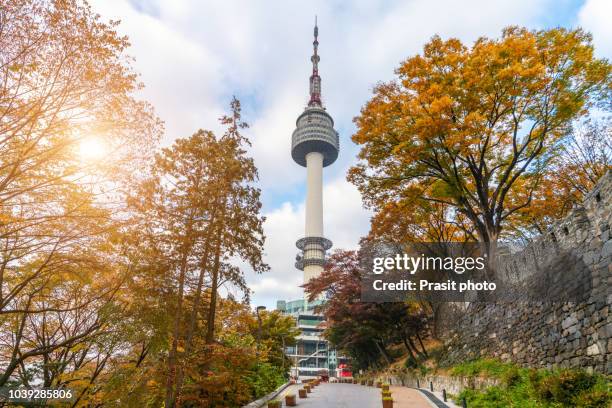 seoul tower with yellow and red autumn maple leaves at namsan mountain in south korea. - namsan seoul bildbanksfoton och bilder