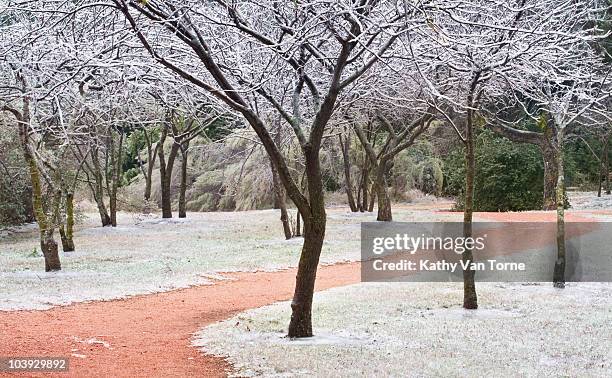 ice storm - path  - texas snow stock pictures, royalty-free photos & images