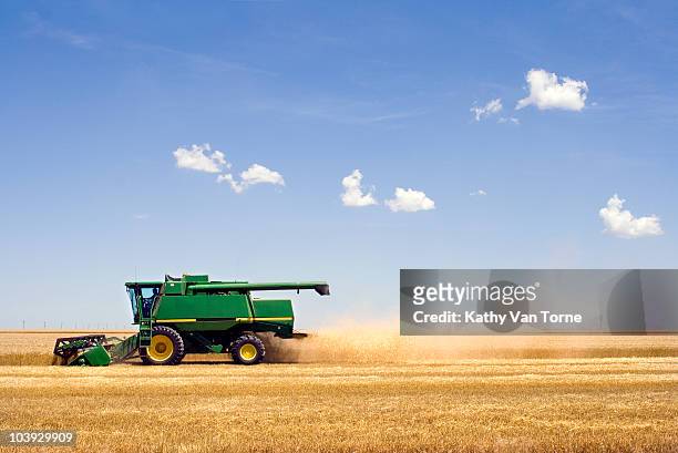 harvesting wheat - combine harvester stockfoto's en -beelden