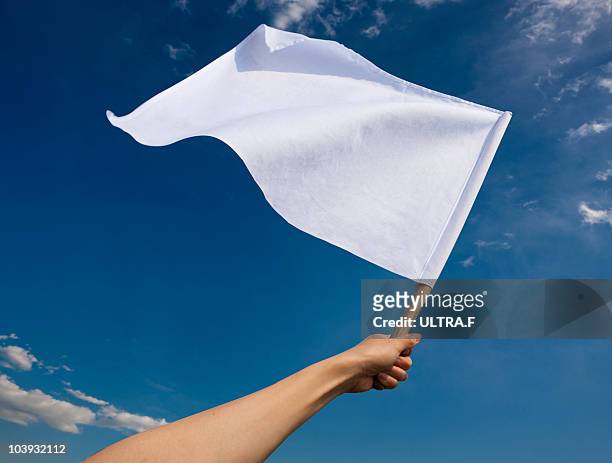 hand holding white flag - holding flag stock pictures, royalty-free photos & images