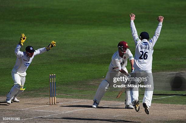 Wicketkeeper Andrew Hodd and team mate Ben Brown of Sussex celebrate as Mal Loye of Northamtonshire is bowled by Monty Panesar during the LV County...