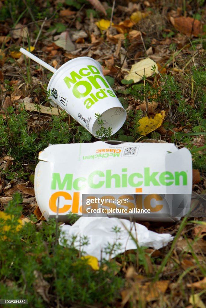 McDonalds Has A Problem With The Waste This Condition Can Be Seen mcdonalds-has-a-problem-with-the-waste-this-condition-can-be-seen