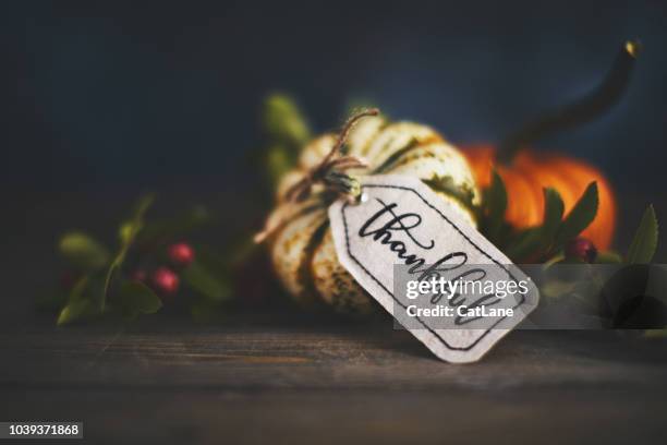 giving thanks with pumpkin assortment still life and thankful message - dia de ação de graças imagens e fotografias de stock