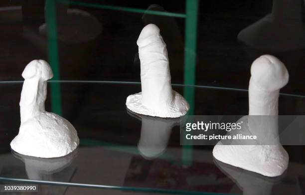 Plaster moulds of the penises of Danny Doll Rod, Jake Shillingford and David Yow are on show at the 'Penis Dimension' exhibition in Bad Doberan,...