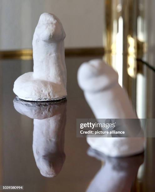 Plaster moulds of the penises of Harvey Mandel and Keith Webb are on show at the 'Penis Dimension' exhibition in Bad Doberan, Germany, 14 July 2015....