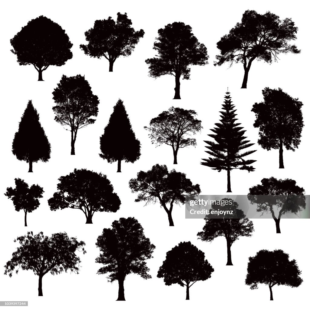 Detailed tree silhouettes - Illustration