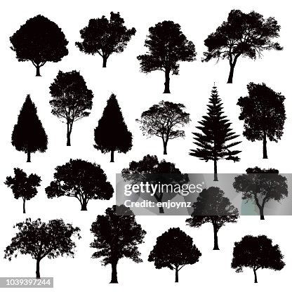 Detailed tree silhouettes - Illustration Detailed tree silhouettes - Illustration