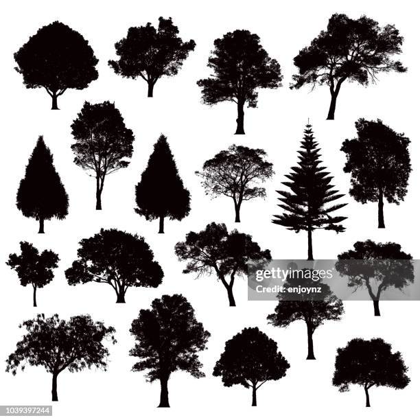 詳細樹剪影-例證 - tree 幅插畫檔、美工圖案、卡通及圖標