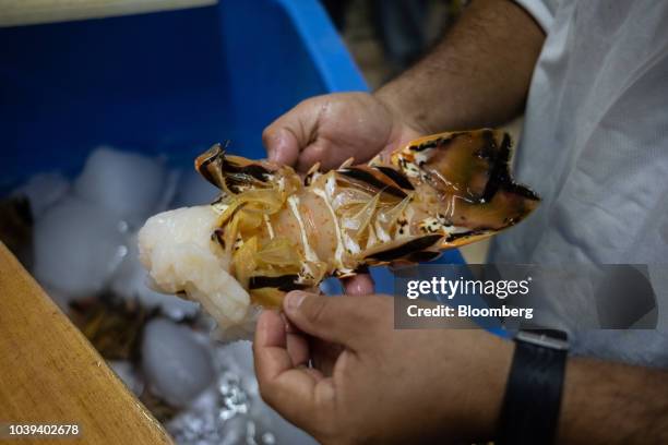 Worker inspects a lobster tail at a packing facility in Progreso, Yucatan state, Mexico, on Wednesday, Sept. 5, 2018. The Mexican economy is set to...