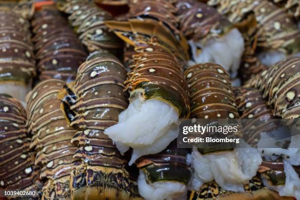 Lobster tails sit at a packing facility in Progreso, Yucatan state, Mexico, on Wednesday, Sept. 5, 2018. The Mexican economy is set to expand 2.1%...