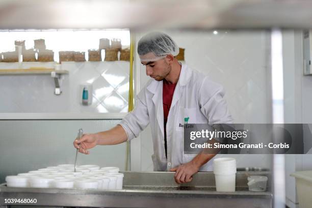 Cheese production at the Borj Lella cheese factory,on September 22, 2018 in Beja, Tunisia. ..