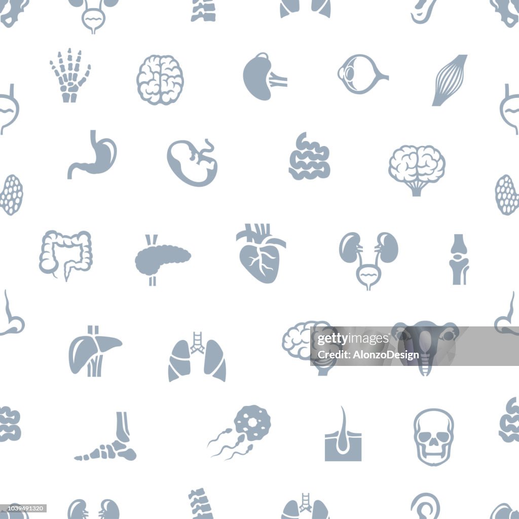 Organs Pattern Human Organs Seamless Pattern High-Res Vector Graphic - Getty Images