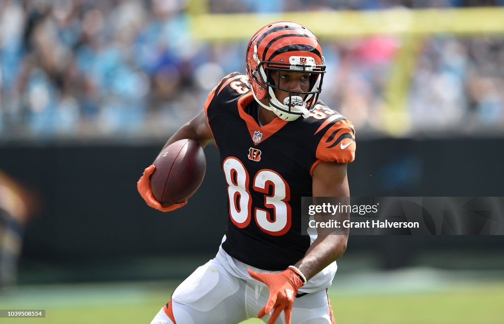 Cincinnati Bengals v Carolina Panthers