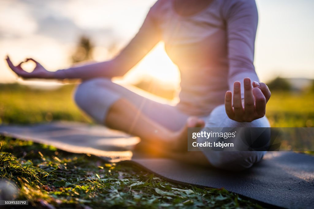 Close up of meditation in park at sunrise.
