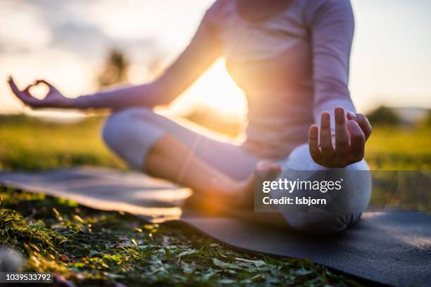 close up of meditation in park at sunrise. - budismo imagens e fotografias de stock