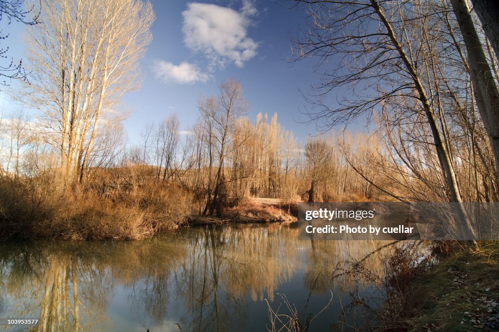 Duraton River in winter