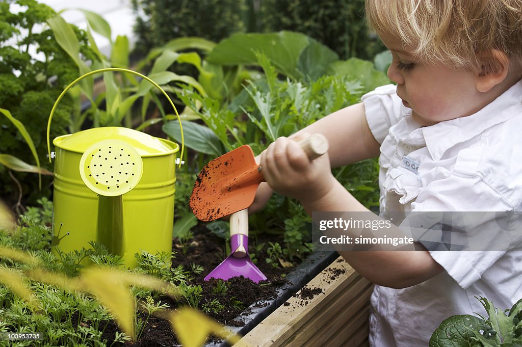 Toddler gardening