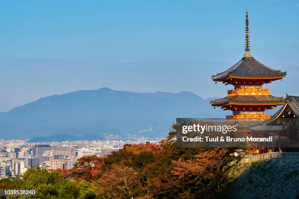 japan, kyoto, kiyomizu-dera temple, unesco - kiyomizu dera temple stock-fotos und bilder