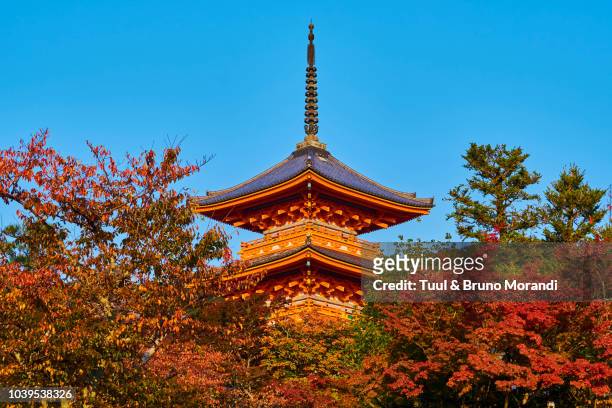japan, kyoto, kiyomizu-dera temple, unesco - kiyomizu temple stock pictures, royalty-free photos & images