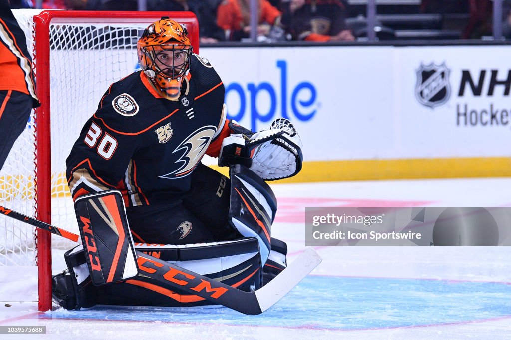 NHL: SEP 20 Preseason - Sharks at Ducks