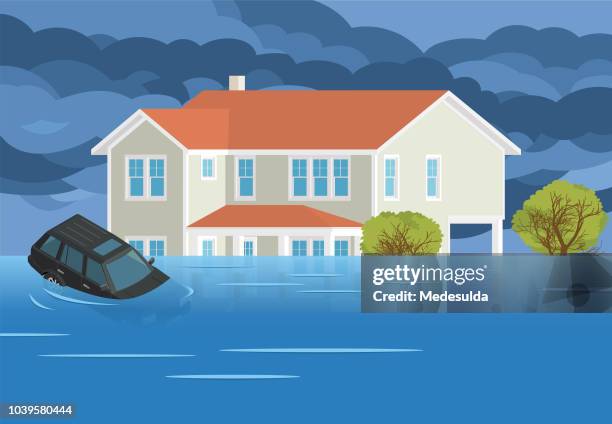 flood house disaster car vector - flood icon stock illustrations