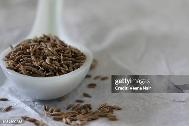 close-up of cumin seeds in a ceramic spoon/white background - cumin stock pictures, royalty-free photos & images