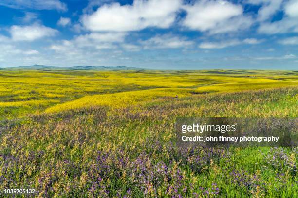 the stunning grass lands of north dakota. usa - grandes planícies imagens e fotografias de stock