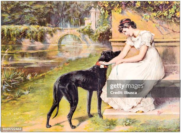 ilustraciones, imágenes clip art, dibujos animados e iconos de stock de antigua ilustración pintura: mujer con perro - clásico