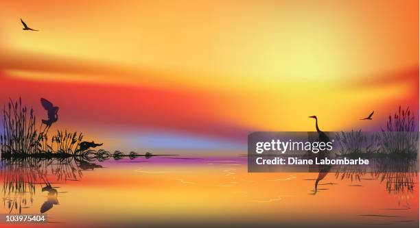 marsh sunset - heron stock illustrations