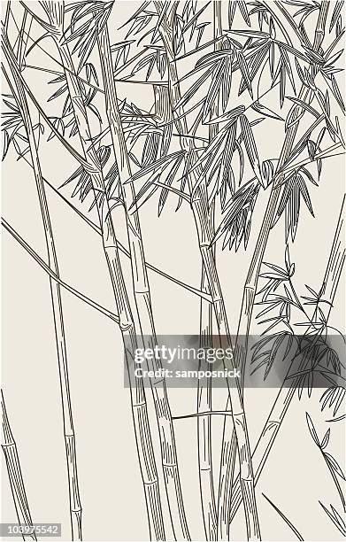 ilustrações, clipart, desenhos animados e ícones de fundo de bambu - bambu