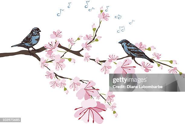 stockillustraties, clipart, cartoons en iconen met spring cherry blossoms & sketchy blue sparrows perched on branch - two animals