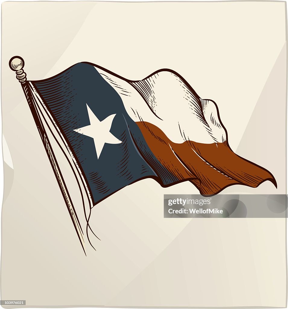 Bandeira do Texas