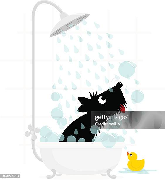 ilustraciones, imágenes clip art, dibujos animados e iconos de stock de perro terrier monada ilustración vectorial para el baño - representación de animal