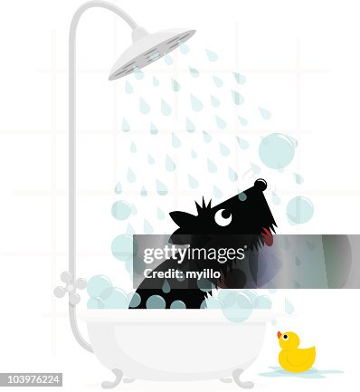 Dog bath terrier cute illustration vector Dog bath terrier cute illustration vector