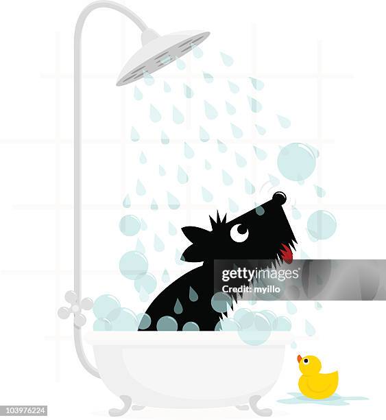 dog bath terrier cute illustration vector - bathroom tiles stock illustrations