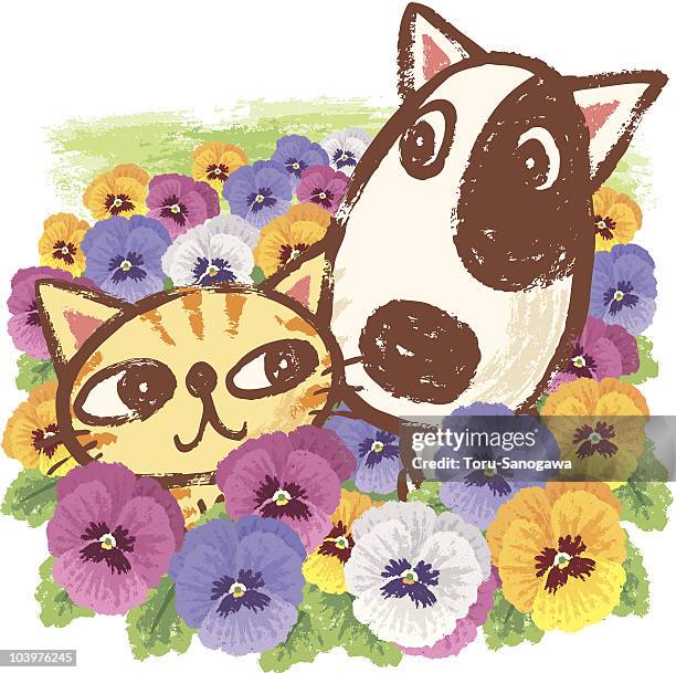animals and pansies - pansy stock illustrations